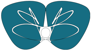 Transformation de Soi - Accueil - Benjamin Bossu