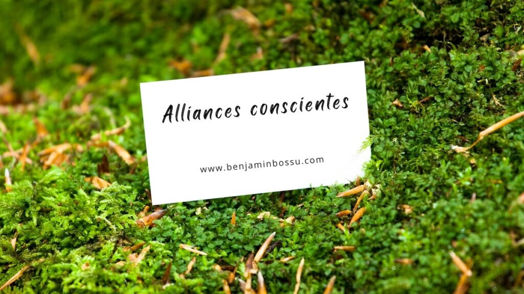 benjamin partenaires